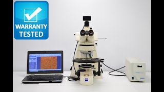 Zeiss Axioplan 2 Fluorescence Motorized Microscope [BOSTONIND] - 25771