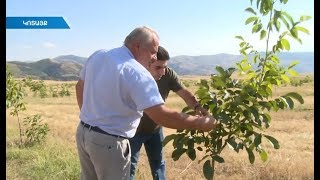 Հետաքրքրություն գյուղատնտեսական հողերի նկատմամբ