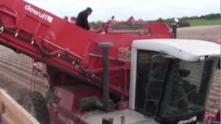 Dewulf RCE3060 - 2-row self-propelled potato harvester