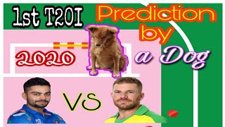 IND VS AUS 1st T20I 4th Dec 2020 Prediction by a Dog....