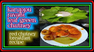 red chutney karpuravalli leaf green chutney breakfast recipe