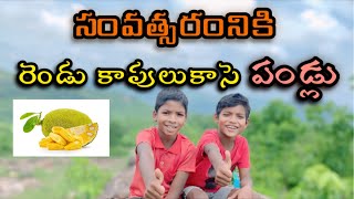 సవత్సరానికి రెండు కాపులు కాసె పండ్లు|| yearly two times arises fruit is the jackfruit||