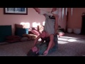 chris yoga flying 005.mp4