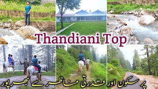 Thandiani Top Abbottabad|Part 2|Complete Tour Guide|Hill Station of Pakistan