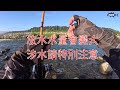 帶著改裝軟魚征戰大甲溪！能贏正版魚陷阱嗎？（波爸 釣魚 路亞 lupin 小蜜蜂）