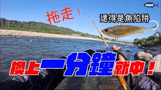 帶著改裝軟魚征戰大甲溪！能贏正版魚陷阱嗎？（波爸/釣魚/路亞/LUPIN/小蜜蜂）