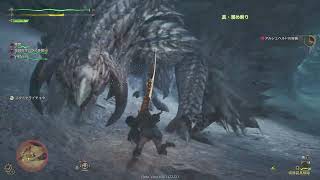 Monster Hunter Wilds Beta test_アルシュベルド討伐（マルチ）