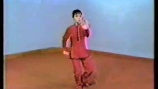 Master Aiping Cheng - Sun Style Tai Chi