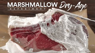 I Dry-Aged Steaks in Marshmallow and This Happened!