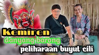 BARU TAU!! ternyata BUYUT CILI LELUHUR ASLI OSING//DANYANGBARONG.kemiren