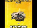Sey’Hlangene ! ( barmen’Uyaydedela )