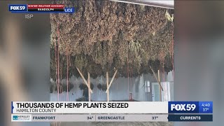 State police seize 7,000 hemp plants in Hamilton County