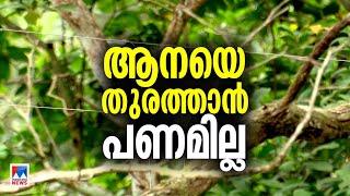 ആനകളെ തുരത്താൻ വനം വകുപ്പിന് വെല്ലുവിളിയായി സാമ്പത്തിക പ്രതിസന്ധി |Idukki Elephant