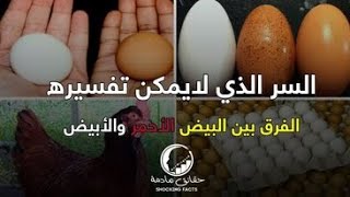 ما الفرق بين البيض الاحمر والبيض الابيض ولماذا البيض الاحمر هو الاغلى دائما !!