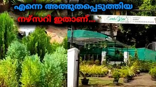 എന്നെ അത്ഭുതപ്പെടുത്തിയ നഴ്സറി ||haseen food stores