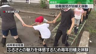 幼稚園児が田植え体験　ふるさとの魅力を体感　岐阜市