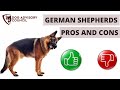 Pros and Cons of German Shepherds