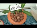 ২৩টি মজাদার পিঠার নাম 23 delicious cakes pithas