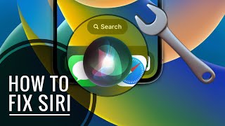 Siri Not Working iOS 16 Problem? Here is how to fix it!