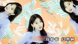 红枣树 任妙音 【2019 DJ 何鹏版】Ren Miaoyin, Jujube Tree [2019 DJ He Peng Edition]