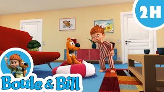🧑🥳 Le retour de 2h de Boule et Bill 😍🐶 - Nouvelle compilation Boule et Bill FR