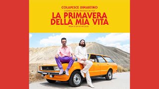 Colapesce Dimartino - Il cuore è un malfattore (from La primavera della mia vita)