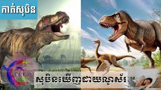 សុបិនឃើញដាយណូស័រ-Dreaming seeing of dinosaurs