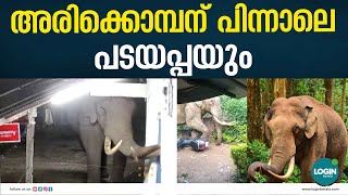 അരിക്കൊമ്പന് പിന്നാലെ പടയപ്പയും | Munnar Padayappa