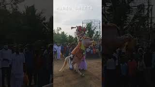 Avanam Mariamman Temple festival