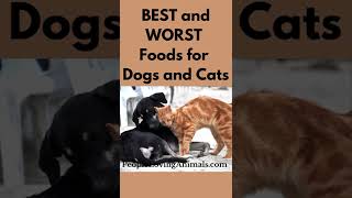 Best and Worst Foods for Pets #petfood #dogfood #catfood #foodfordogs #petfoods | Best Pet Foods