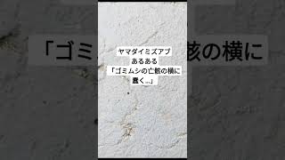 ヤマダイミズアブあるある「ゴミムシの亡骸の横には・・・」