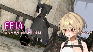 【FF14】雑談しながら楽しむ