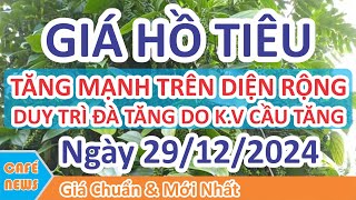 Giá hồ tiêu hôm nay ngày 29/12/2024 | Giá Tiêu Tăng Mạnh Trên Diện Rộng \u0026 Duy Trì Đà Tăng Sắp Tới ?