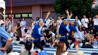 Tokyo Koenji Awa Odori Festival 2017｜第61回東京高円寺阿波おどり(高圓寺阿波舞) : 武秀連