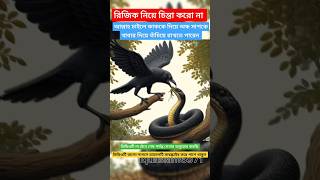 দেখুন কাক একটি অন্ধ সাপকে খাবার খাইয়ে দিচ্ছে : সুবহানাল্লাহ 🕋 #youtubeshorts #viralvideo #shorts