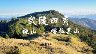 最美的360度山頂環景！沈浸在山林之中，鳥山一點也不鳥了！武陵二秀-桃山喀拉業山 #桃山 #喀拉業山 #武陵四秀