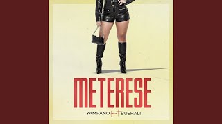 YAMPANO FT BUSHALI - METERESE (Official AI Cover)