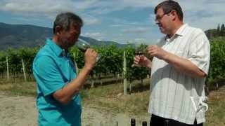 BC Winegrowers Series - Sandhill Wines