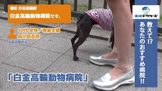 港区 動物病院（Vol.1）東京ドクターズの街頭インタビュー