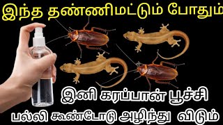 இனி வீட்டில் கரப்பான் பூச்சி பல்லி தொல்லை இல்லை / how to make cockroach killer/kitchen tips in Tamil