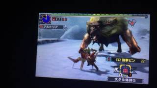 MHX 集6 吹雪に立つ金獅子 ラージャン 弓 0分針