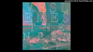 Veslemes - The Nest (Original Mix)