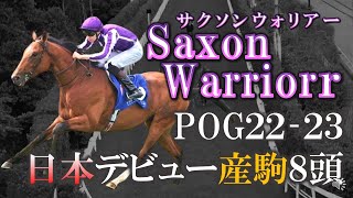 【pog22-23】欧州期待の新種牡馬はディープの子！サクソンウォリアー産駒で日本デビュー予定の8頭を紹介します！【2歳馬】【海外種牡馬】