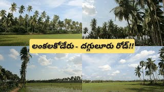 Beautiful Views En Route From Lankalakoderu To Dagguluru Road | తెలుగులో