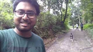 On the way - Towards Suntalekhola (Samsing) | Dooars Diaries - Part 7 | The Toddlers