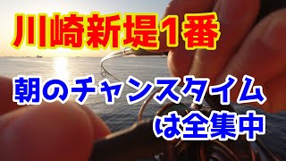 【川崎新堤1番】朝のチャンスタイムは全集中で逃すな