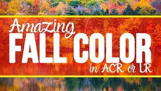 AMAZING Fall Colors In ACR or Lightroom