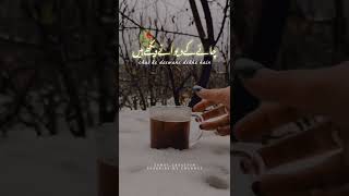 Tea Lover 🥀 4k Watsapp Status 🌹 Best Urdu Shayri Status | Tea Lover Boys Status #Shortsreel #Shayri