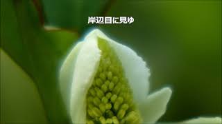 高田三郎　「啄木短歌集」より　１．やわらかに　アルト