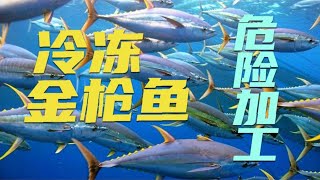 揭秘冷冻金枪鱼是如何加工的？工人在危险边缘干活 还干净又卫生